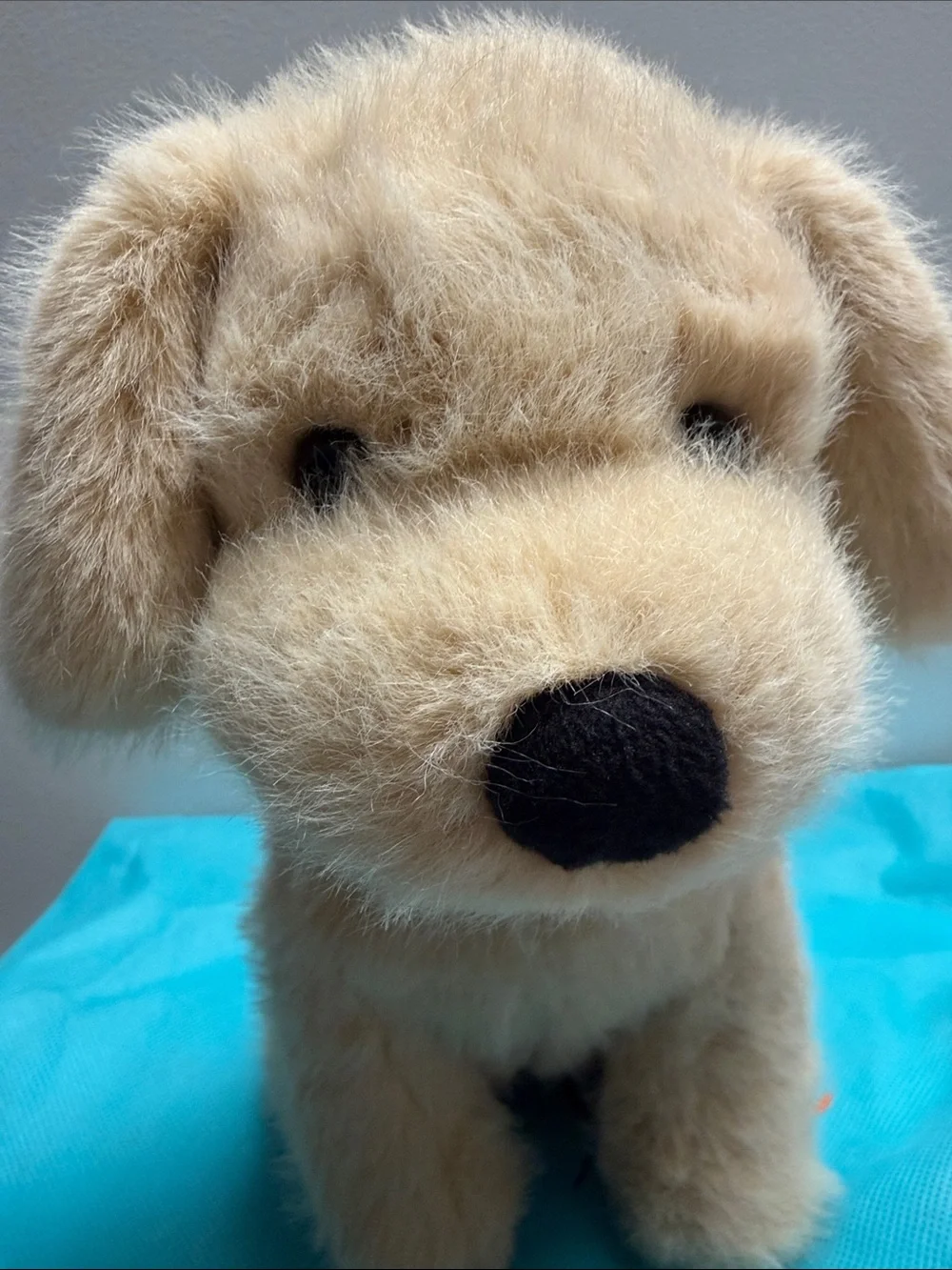 Jellycat Golden Puppy nwt and dust bag